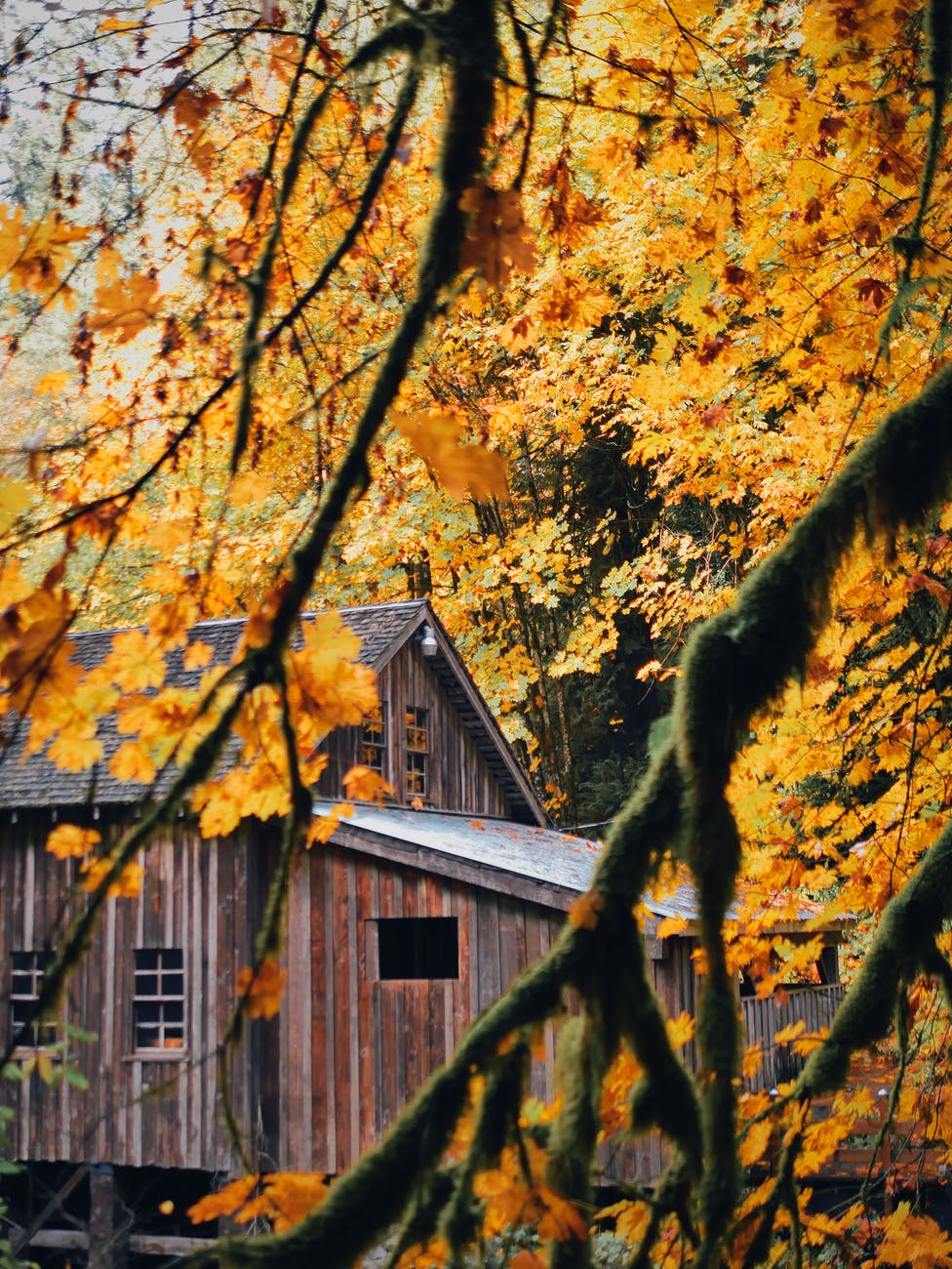 aged wooden house in autumn countryside