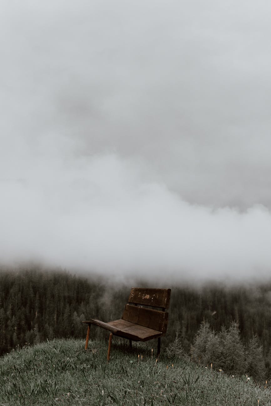 lonely bench on hill in woods