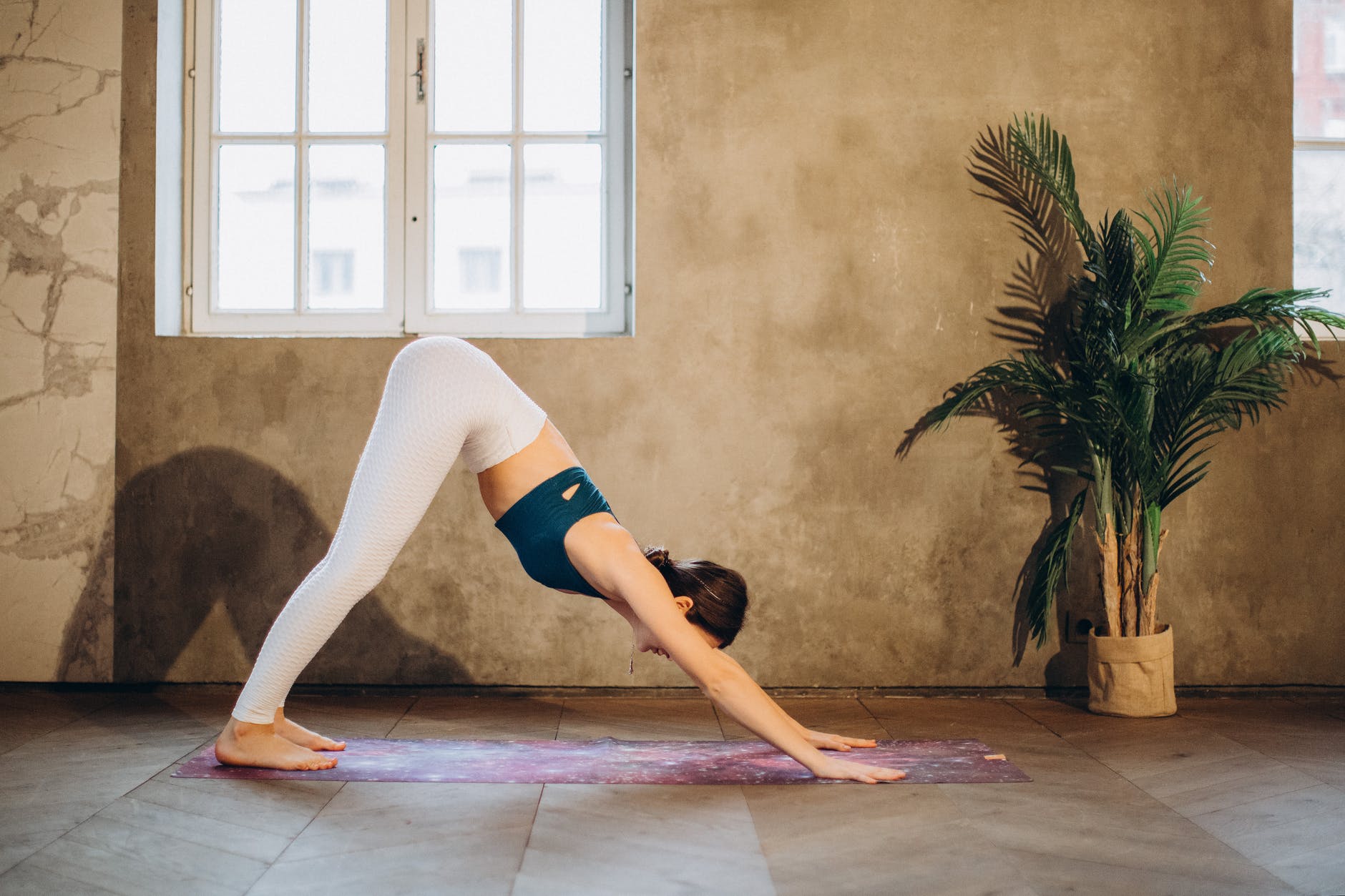 woman in downward dog pose
