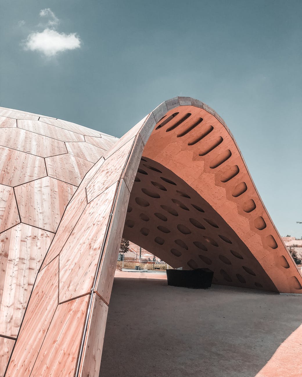 brown and white arch playground