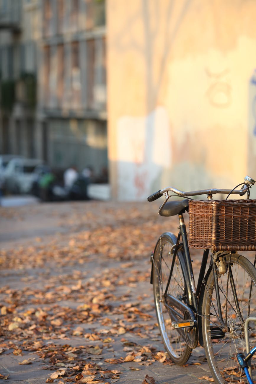 bicycle parked on town street covered with fallen autumn leaves