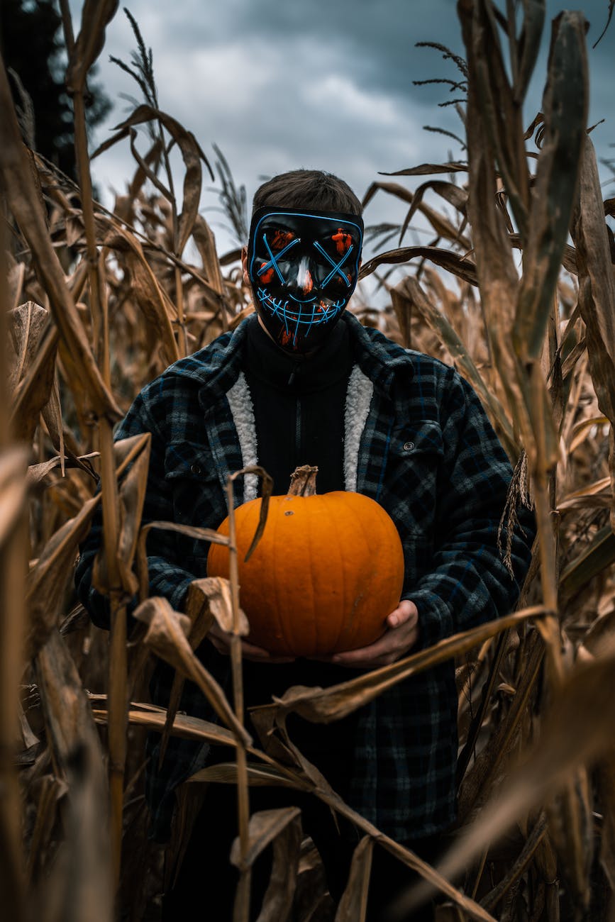 photo of man standing near corn plants