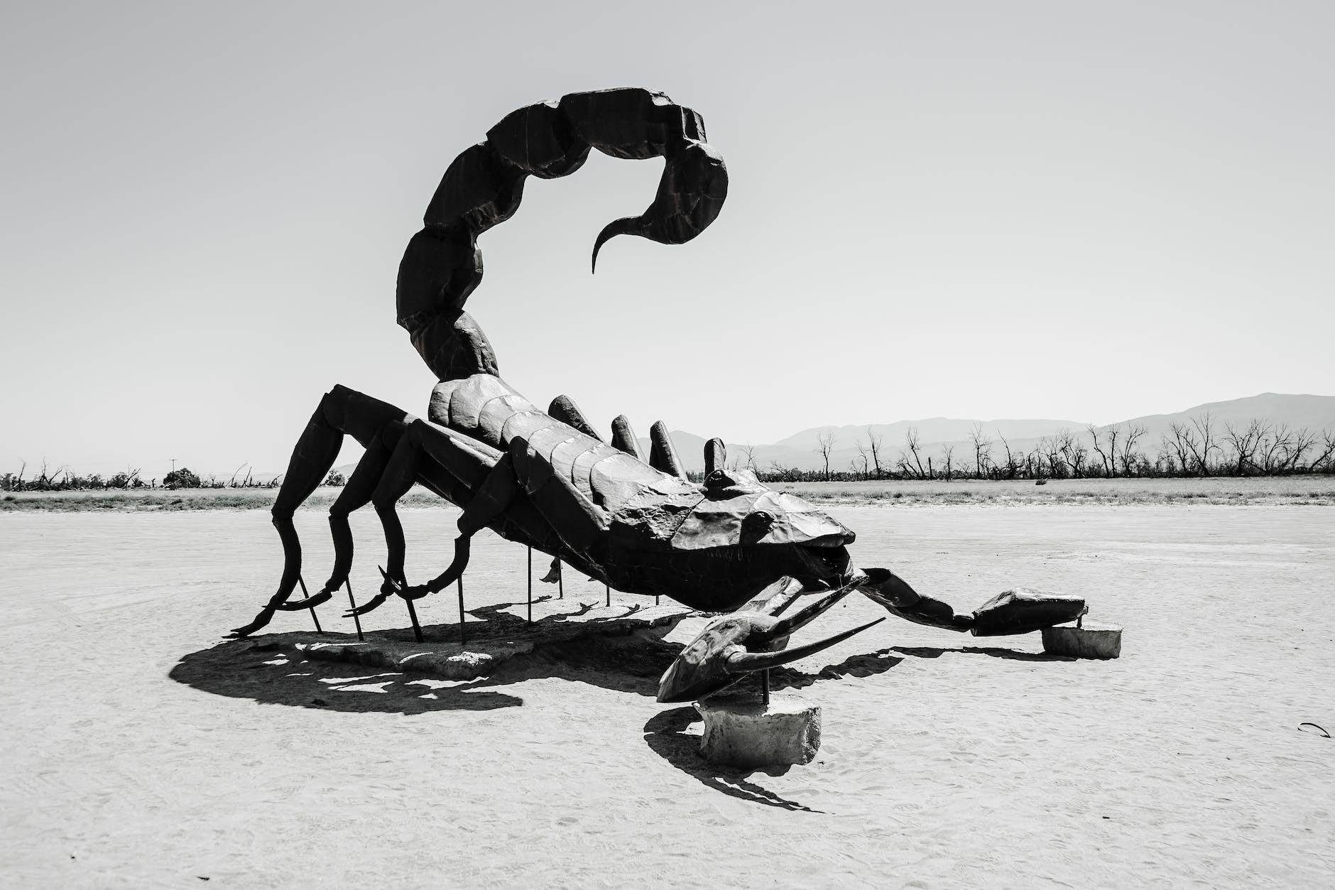 scorpion sculpture in desert landscape