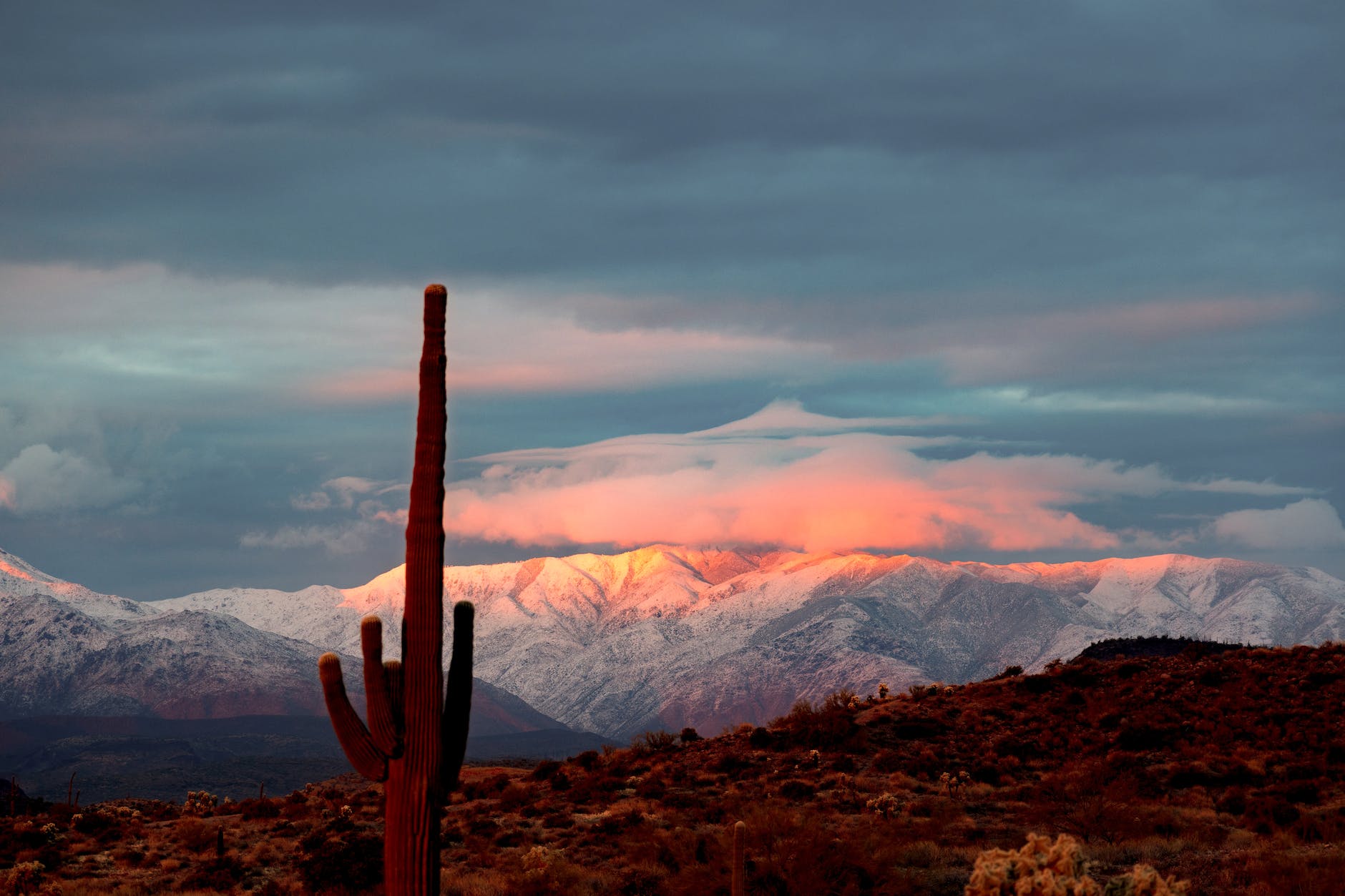 cactus clouds and mountains